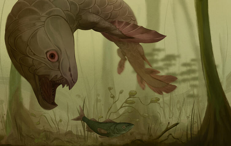 "Brown Armorwana", Clip Studio Paint